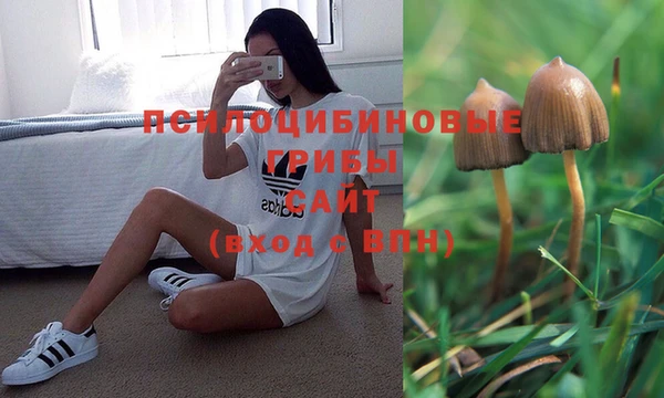 эйфоретик Заволжск