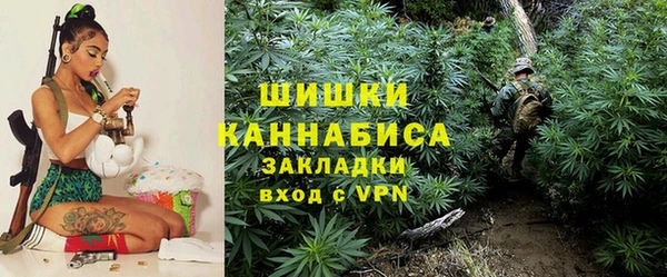 марки nbome Заводоуковск
